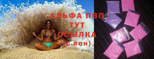 PSILOCYBIN Горнозаводск